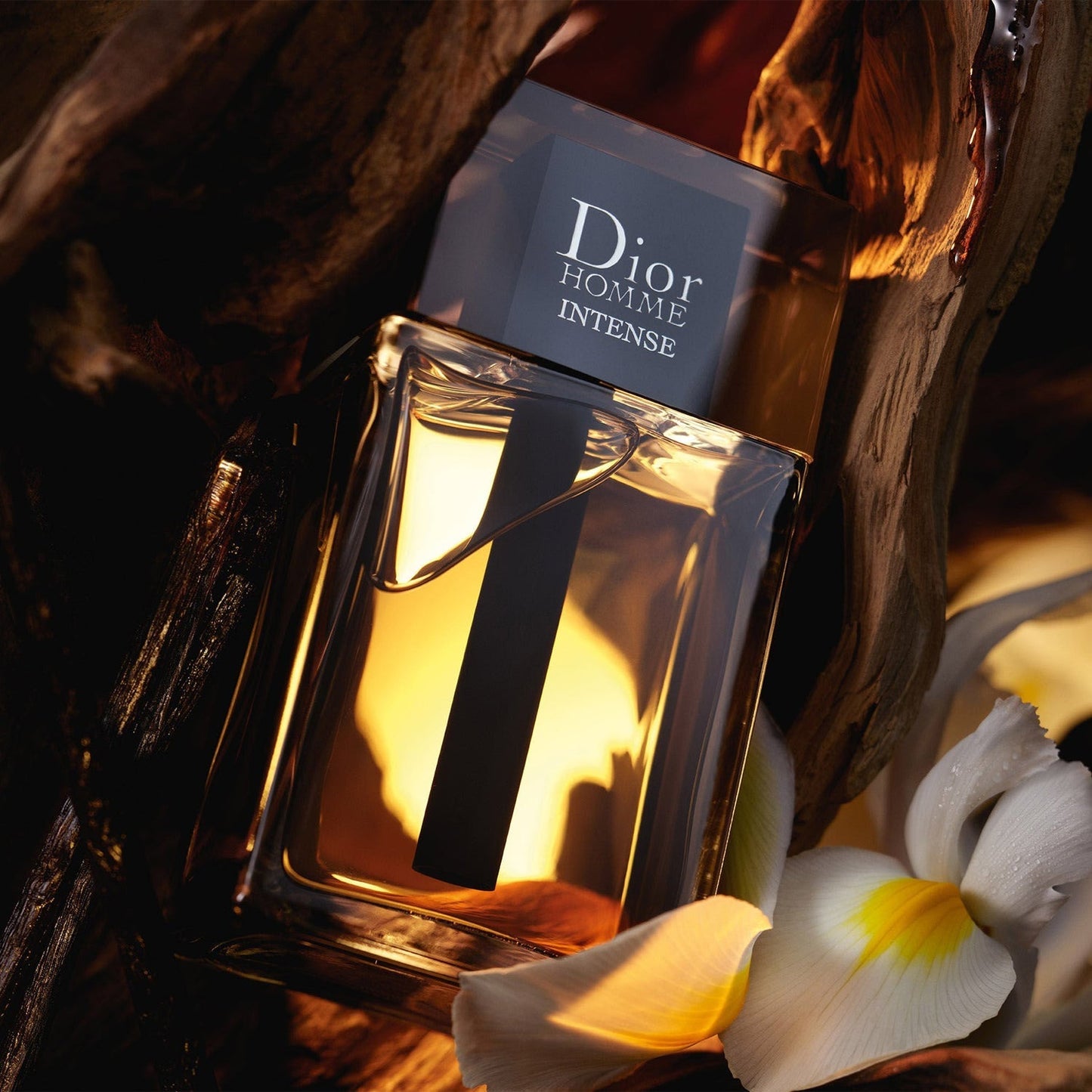 Men's Dior Homme Intense EDP Spray 3.4 Oz