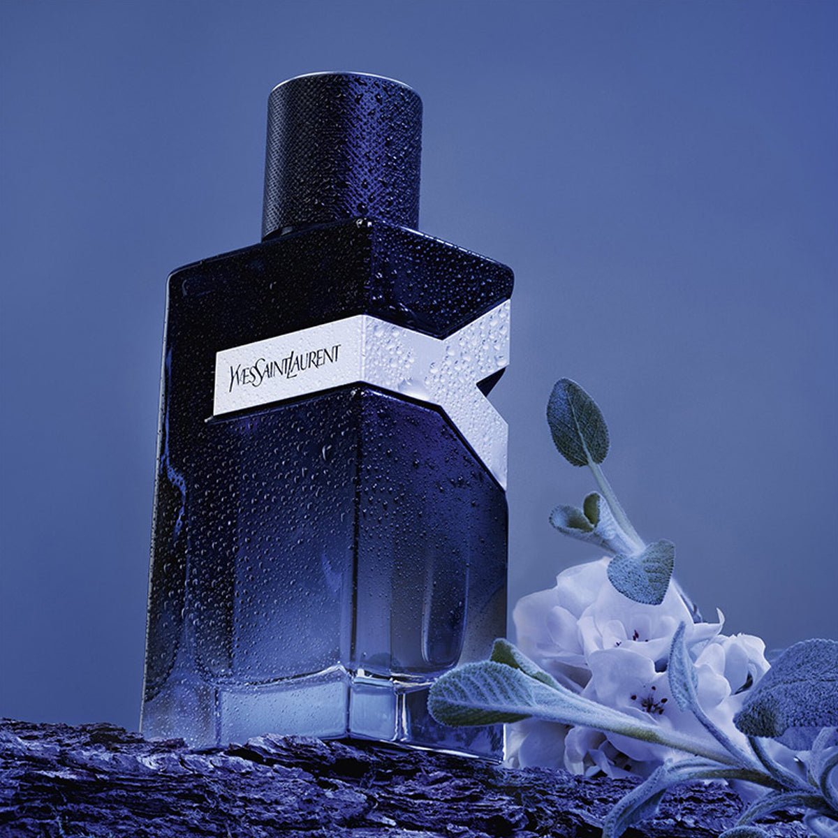 Men's Yves Saint Laurent Y EDP Spray 3.3 Oz