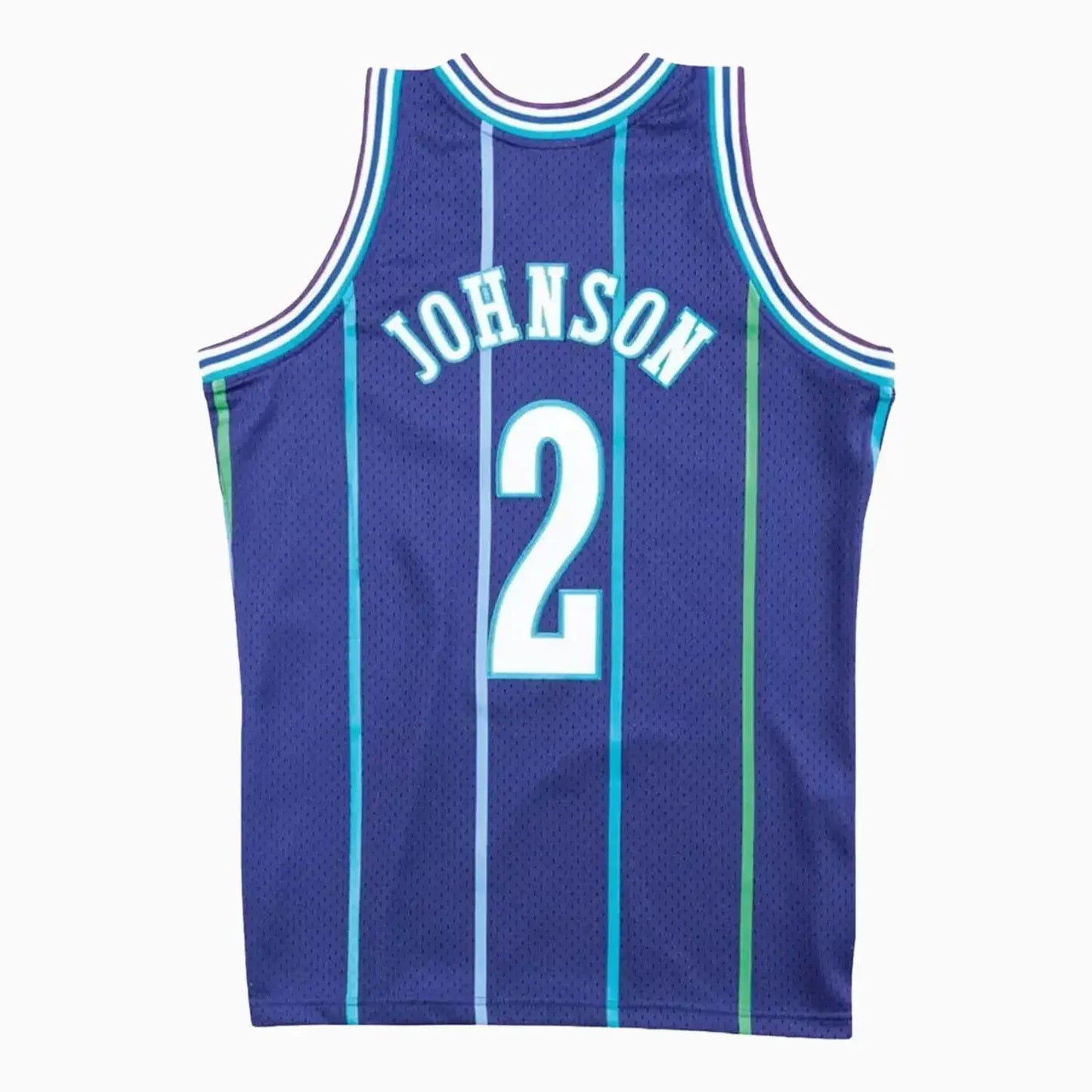 Swingman Larry Johnson Charlotte Hornets NBA 1994-95 Jersey