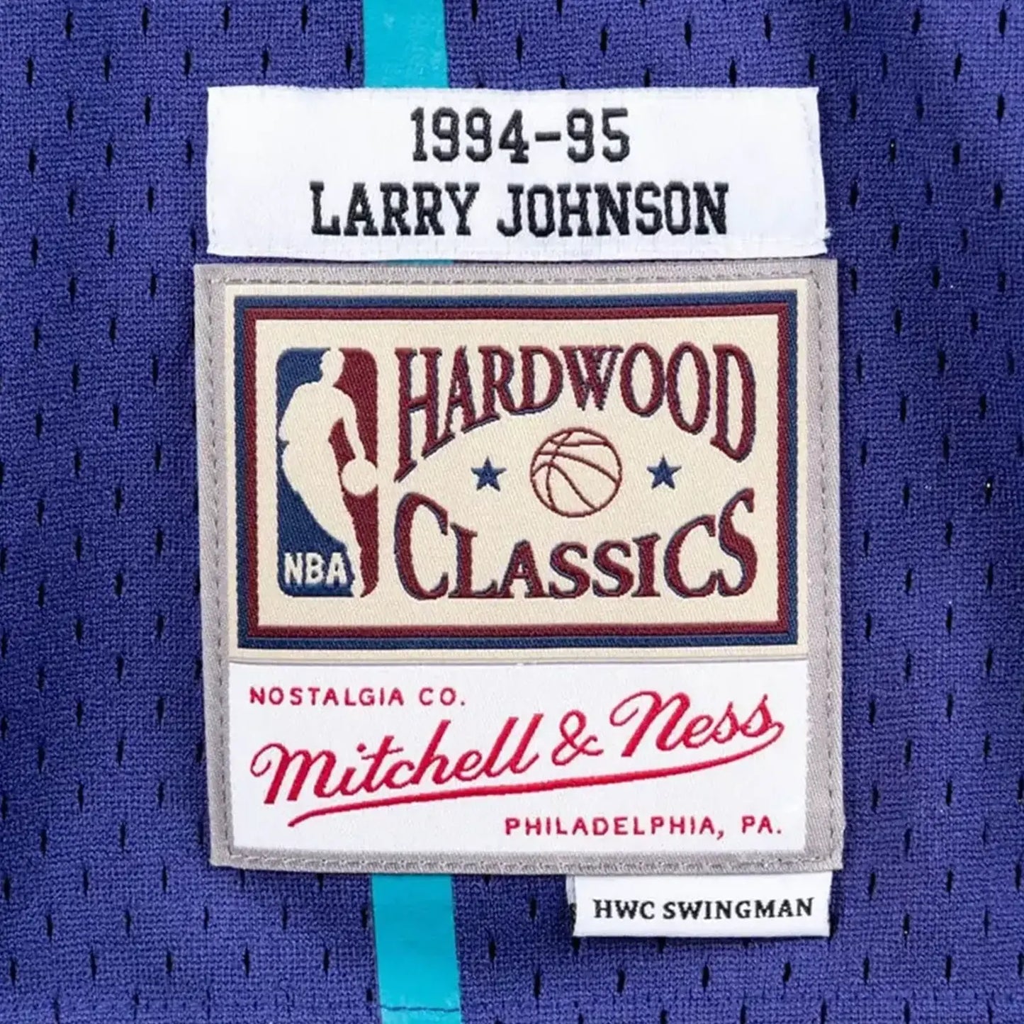 Swingman Larry Johnson Charlotte Hornets NBA 1994-95 Jersey